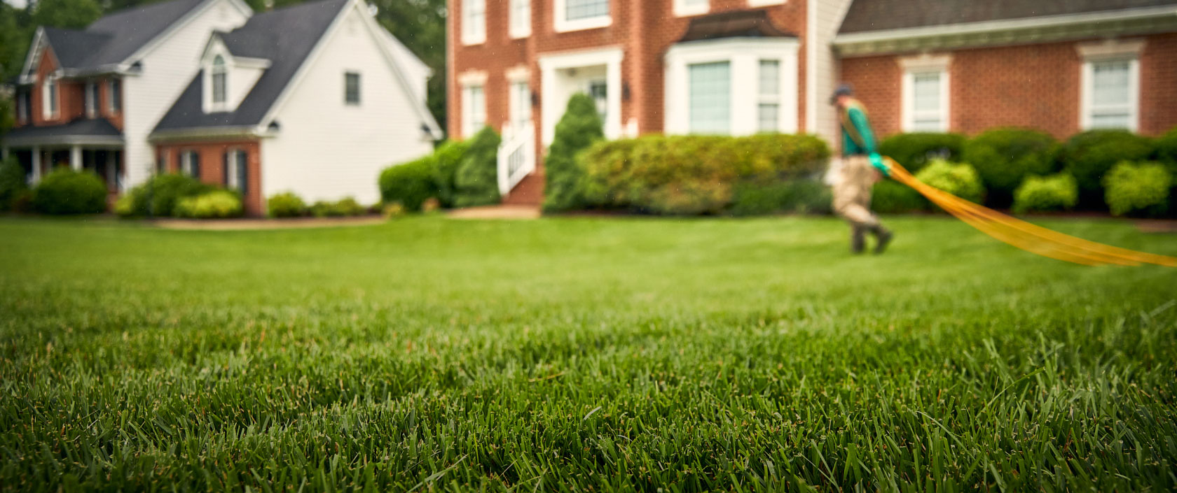 New Lawn Installation Sonoma County