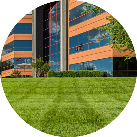 Commercial Property with Green Grass