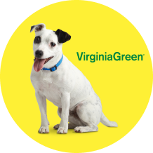 Virginia Green logo with Dog
