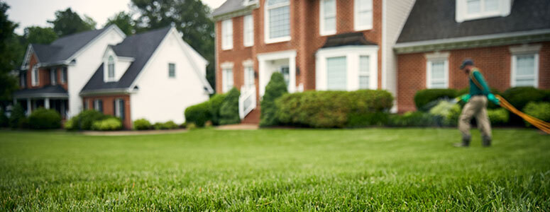 employee watering lawn in front of house
