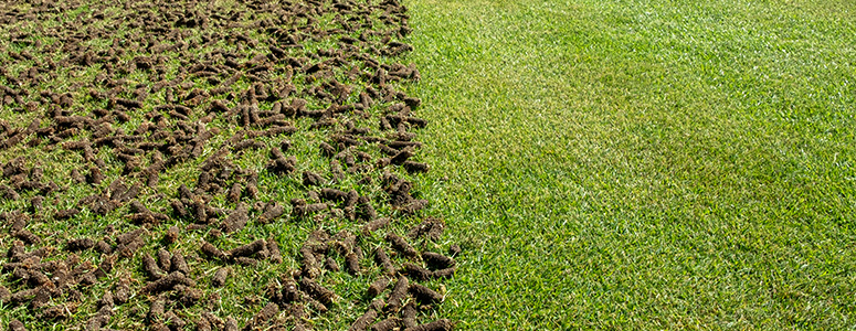 Aeration comparison photo