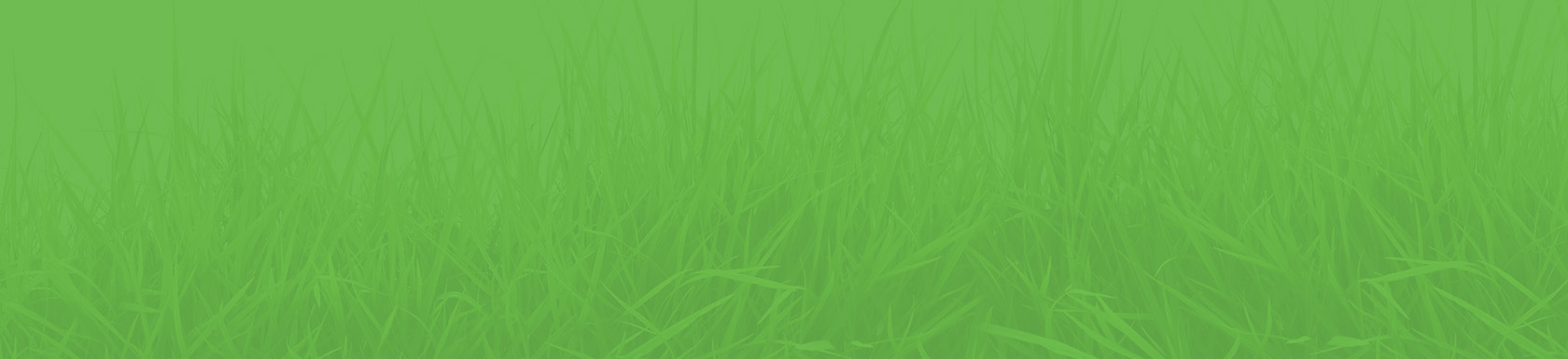 green-grass-background