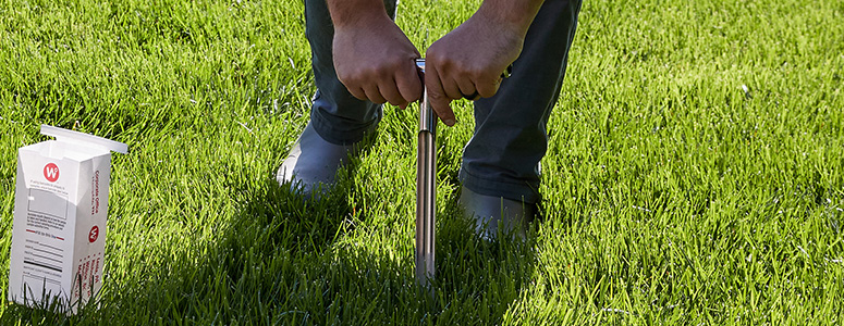 Soil sample being taken from a yard