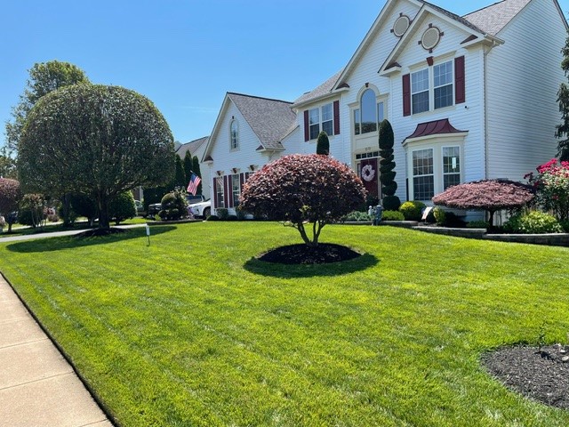 May 2024 Lawn of the Month Winner in Woodbridge