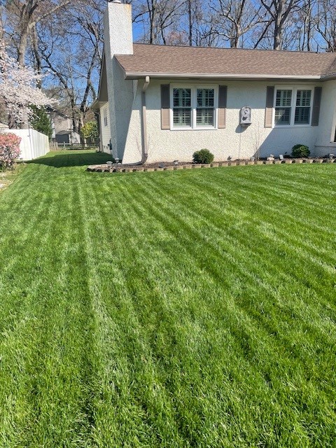 Lawn of the Month Winner in Hampton