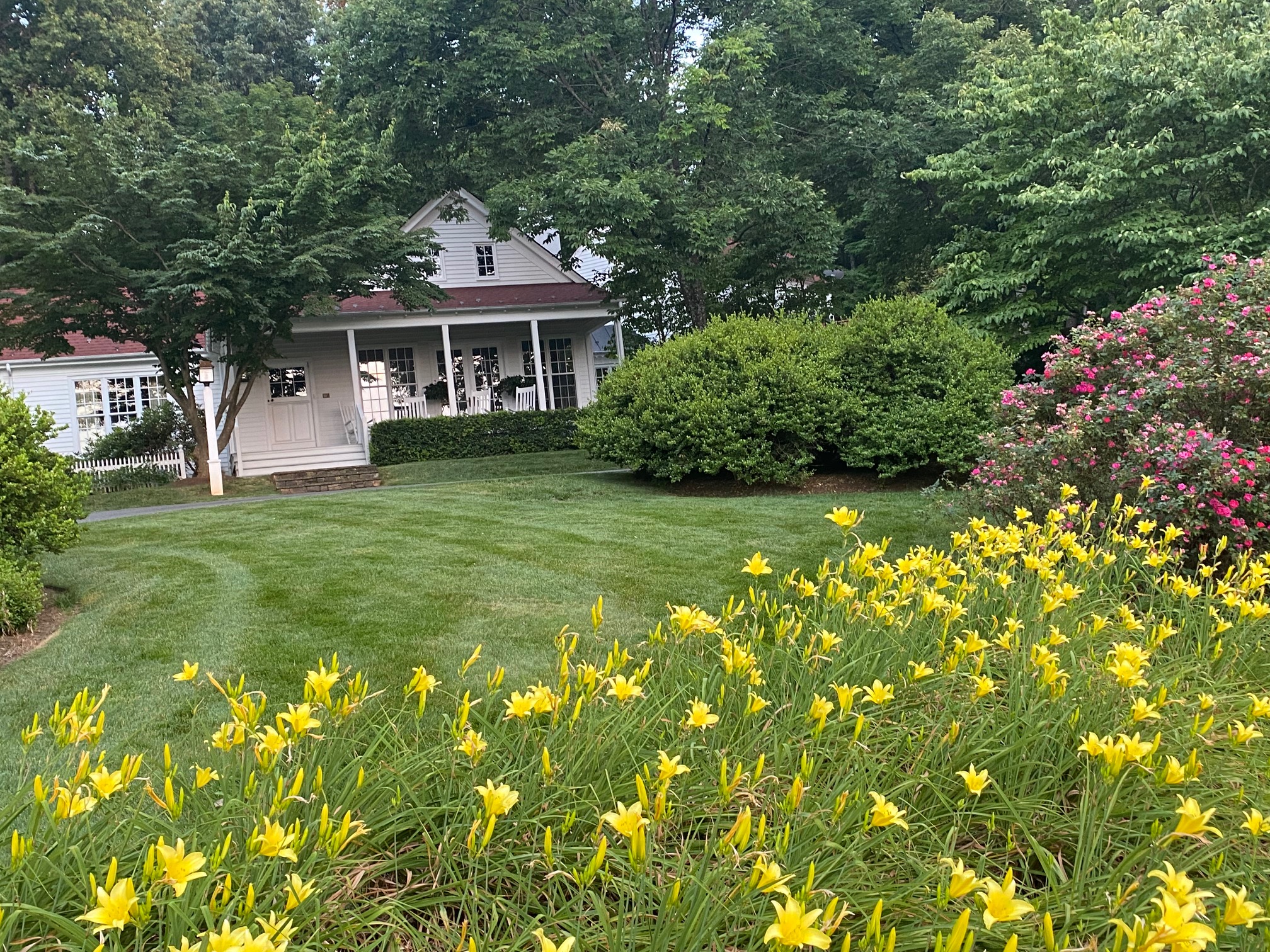 July-lawn-of-the-month-winner-from-charlottesville-va