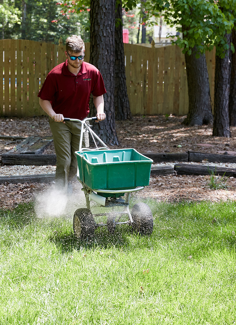 Virginia Green Performing an Application of Lime on a Lawn