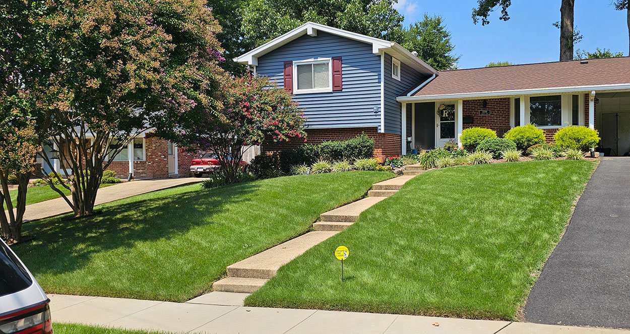 Romine Family in Fairfax