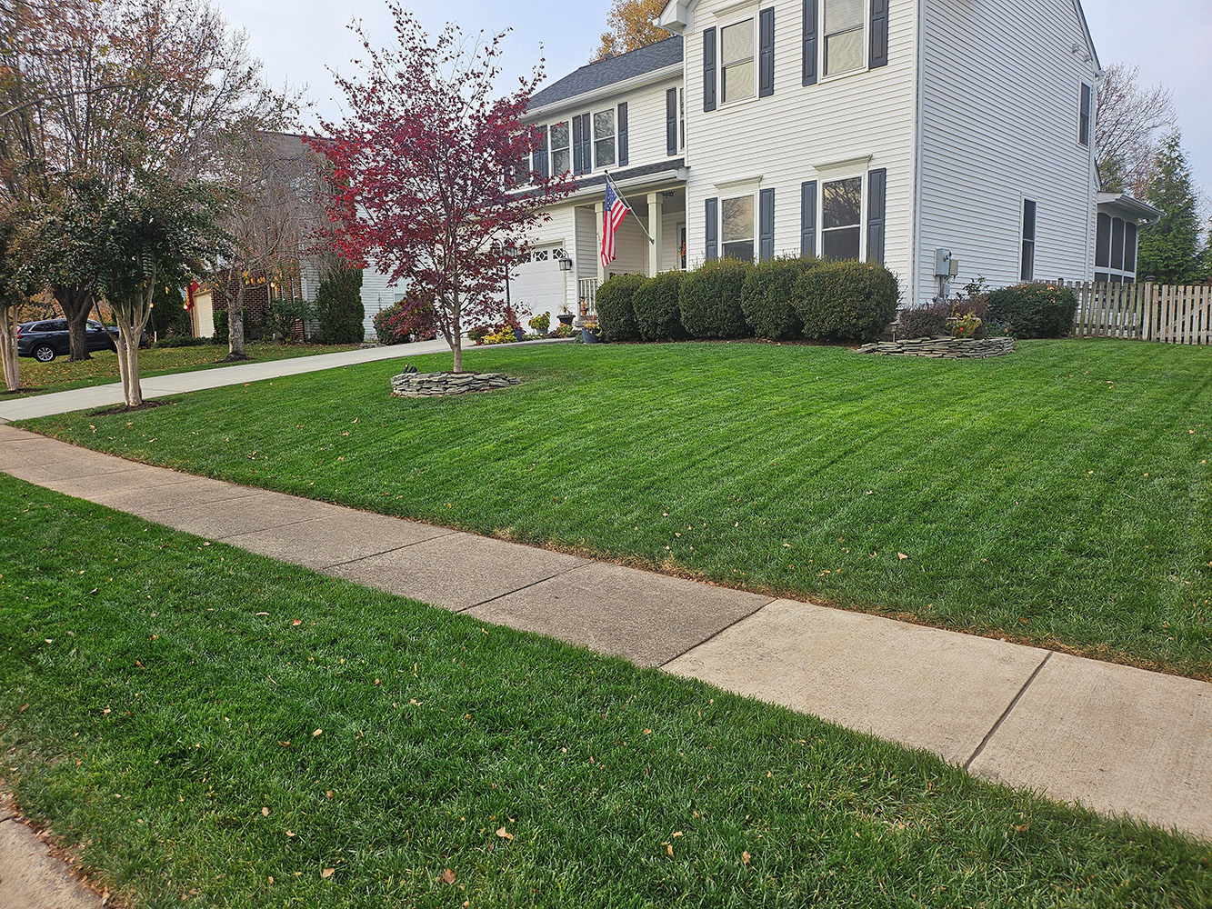 Virginia Green Lawn of the Month in Ashburn, VA