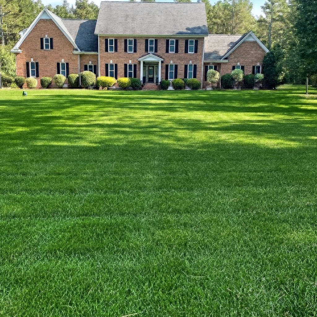 Richmond Hill Lawn