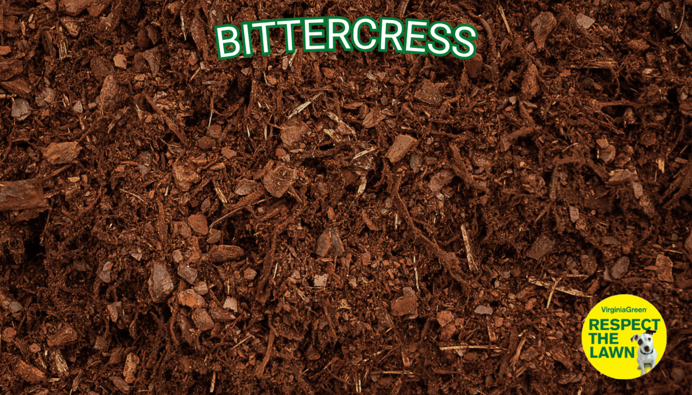 Virginia Green animated lawn care banner