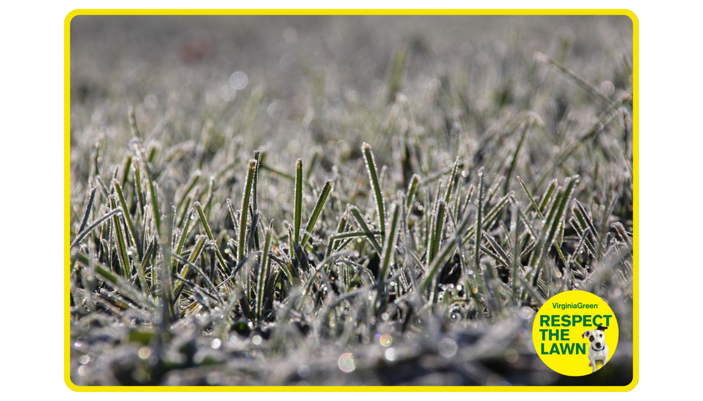 Winter Lawn Care Tips Hero