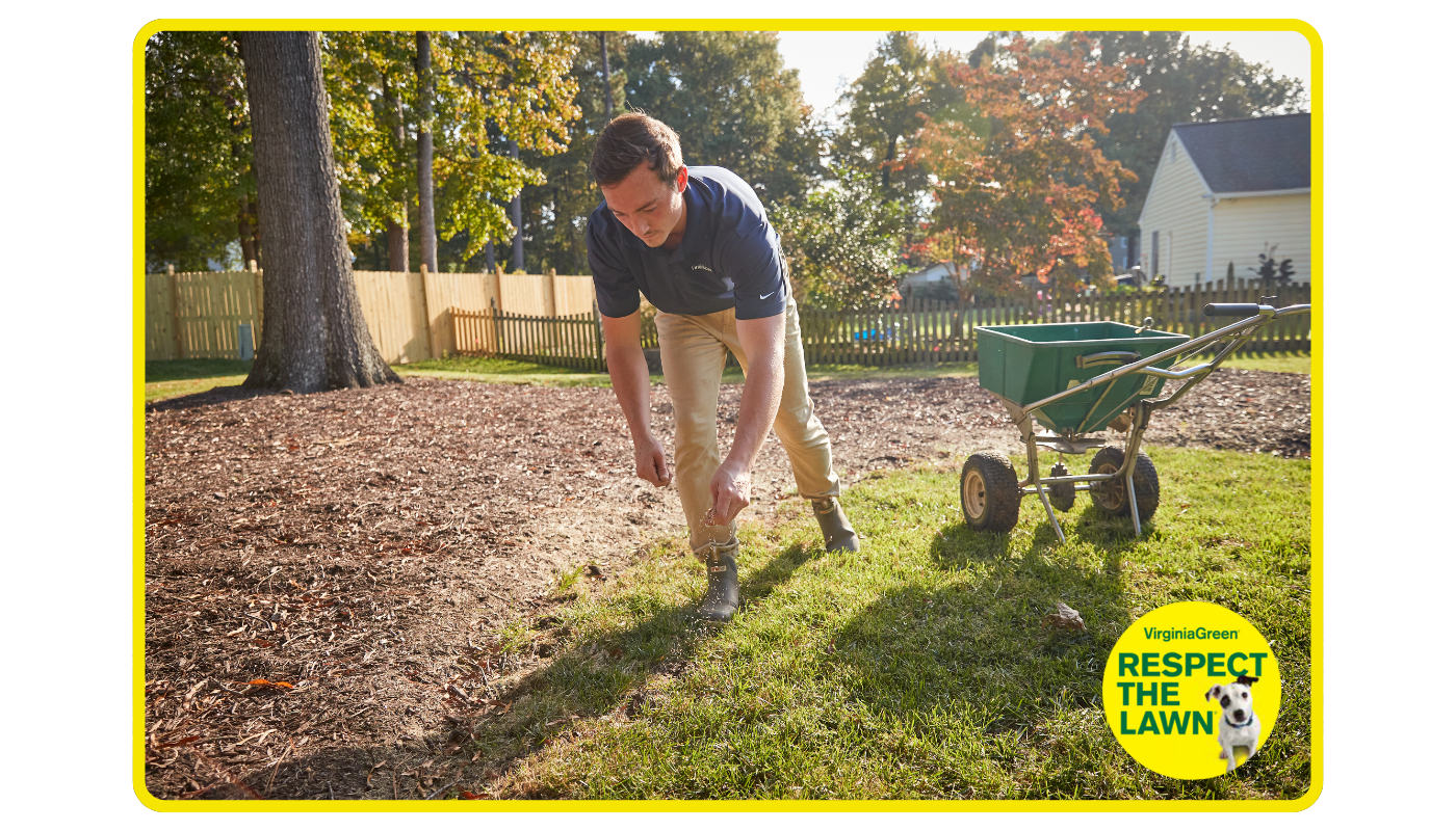 Overseeding and aeration hero image