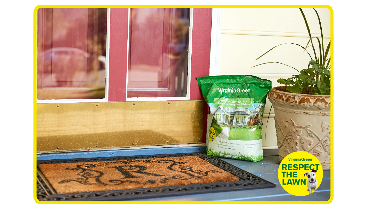 Virginia Green aeration and seed