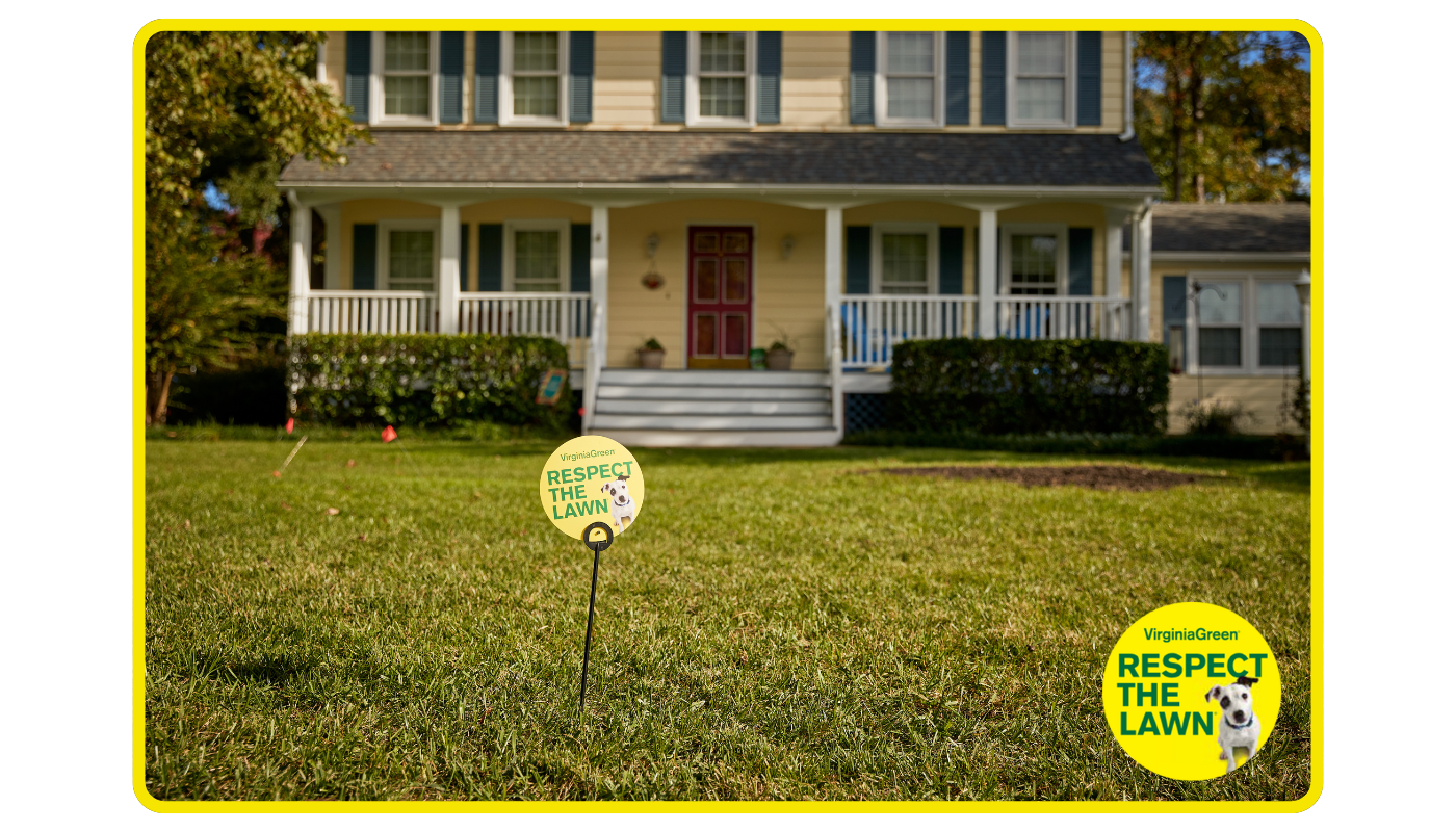 Cool season grass seed