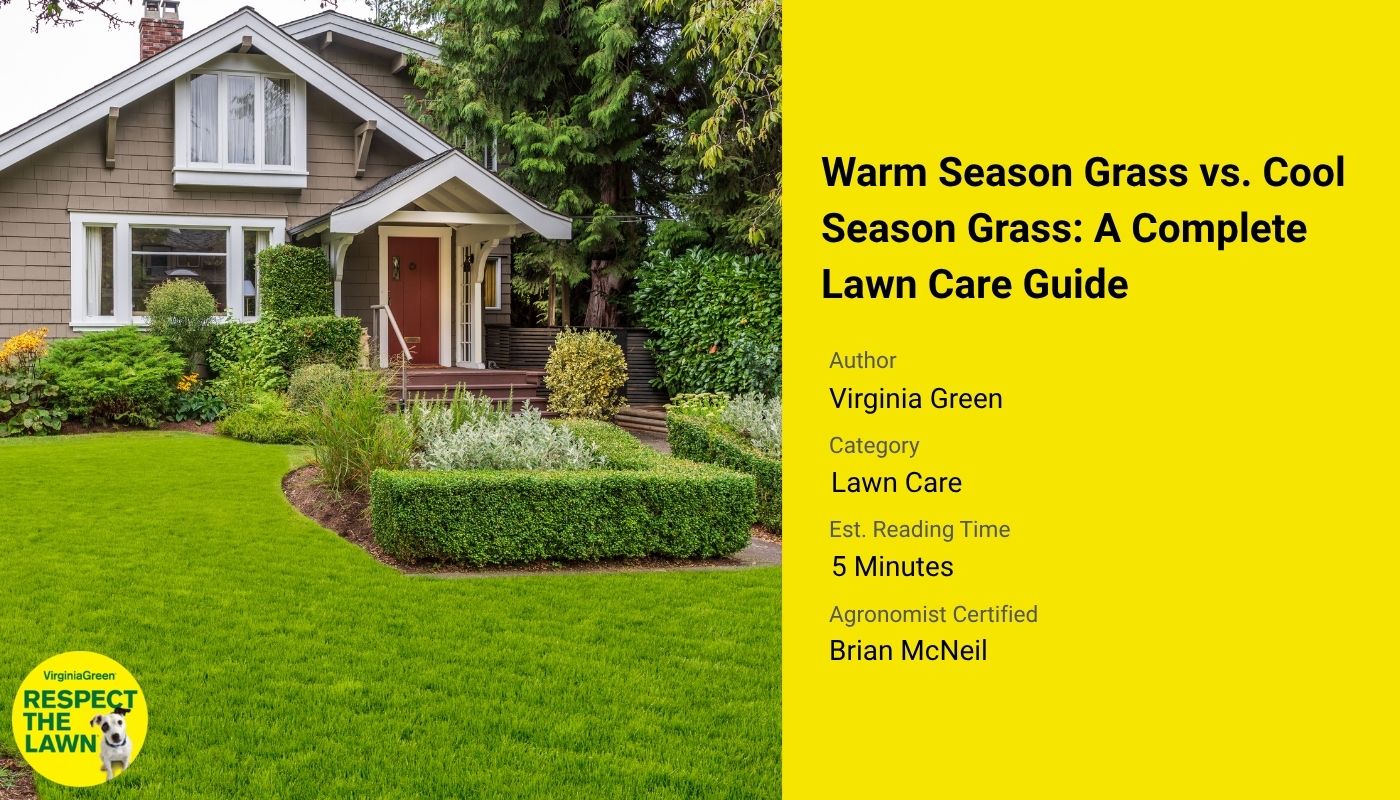 Warm Season Lawns vs Cool Season Lawns