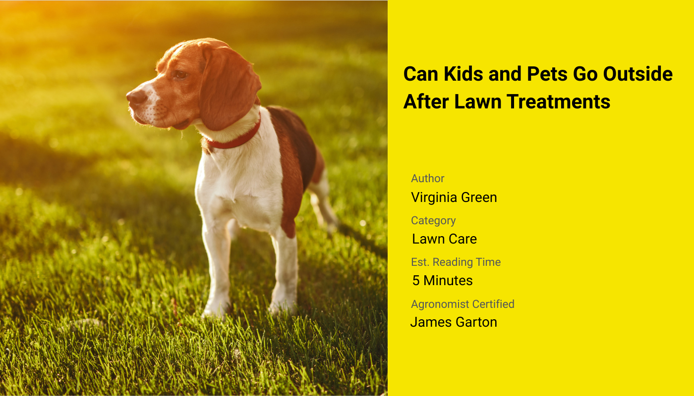 Can kids and pets go outside after lawn treatments