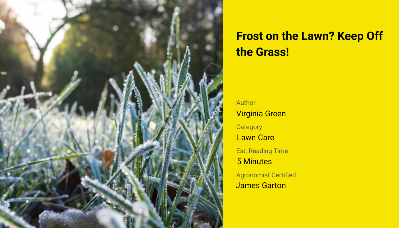 Frost, Get Off the Grass