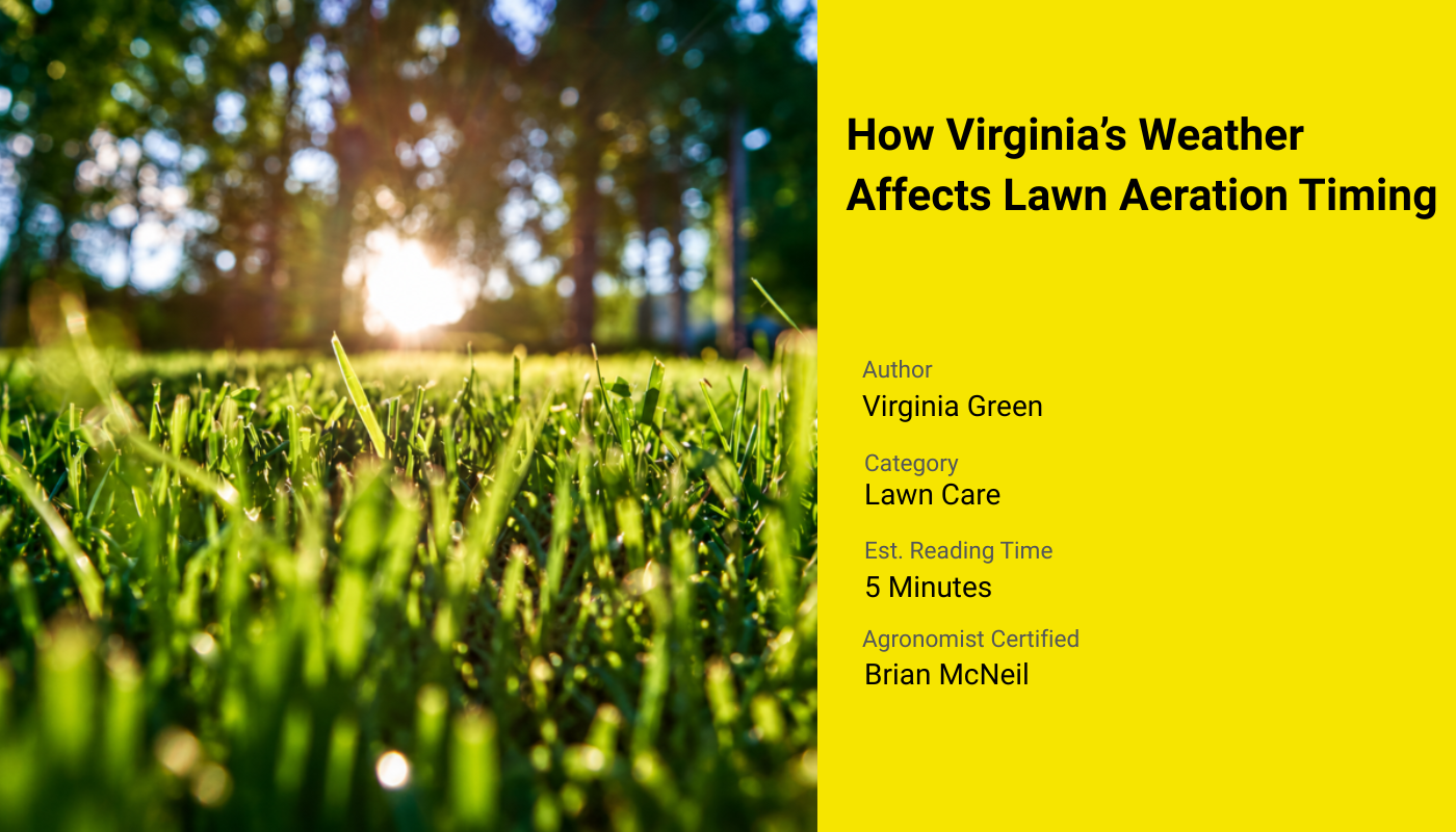 How Virginia's Weather Affects Lawn Aeration Timing