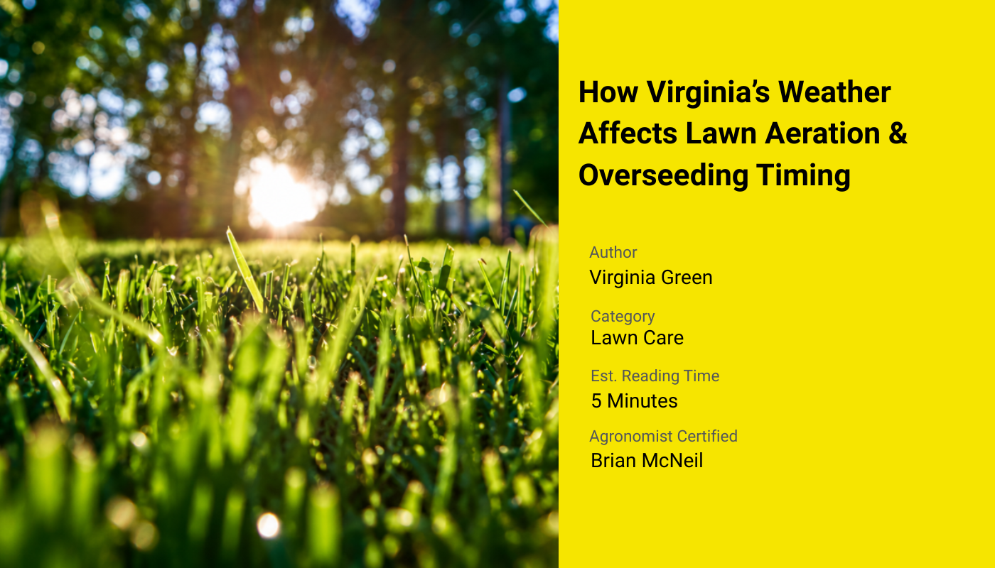How Virginia's Weather Affects Lawn Aeration Timing