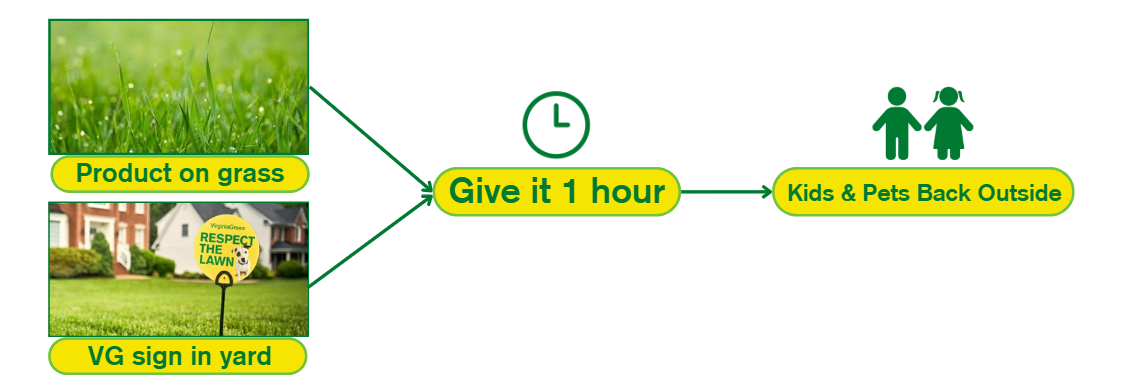 Virginia Green Respect the Lawn reminder sign