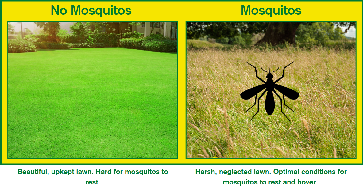 Perimeter Pest Control