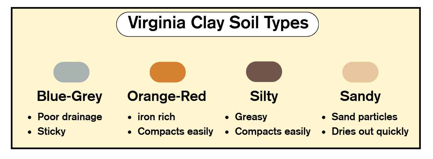 Proper lawn care starts with choosing the right grass type