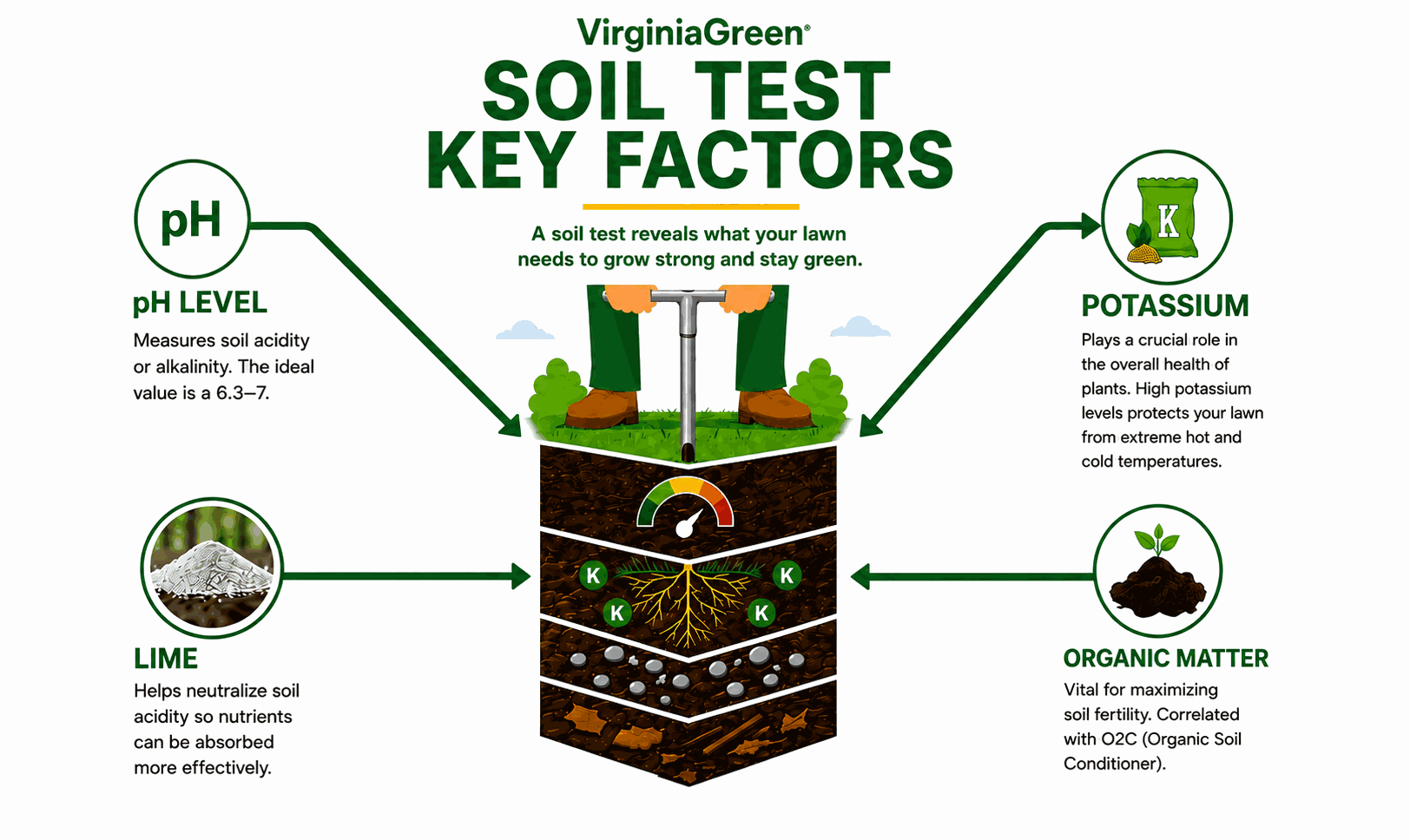 Healthy lawn care starts with proper soil testing
