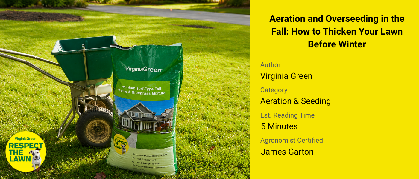 Warm Season Lawns vs Cool Season Lawns