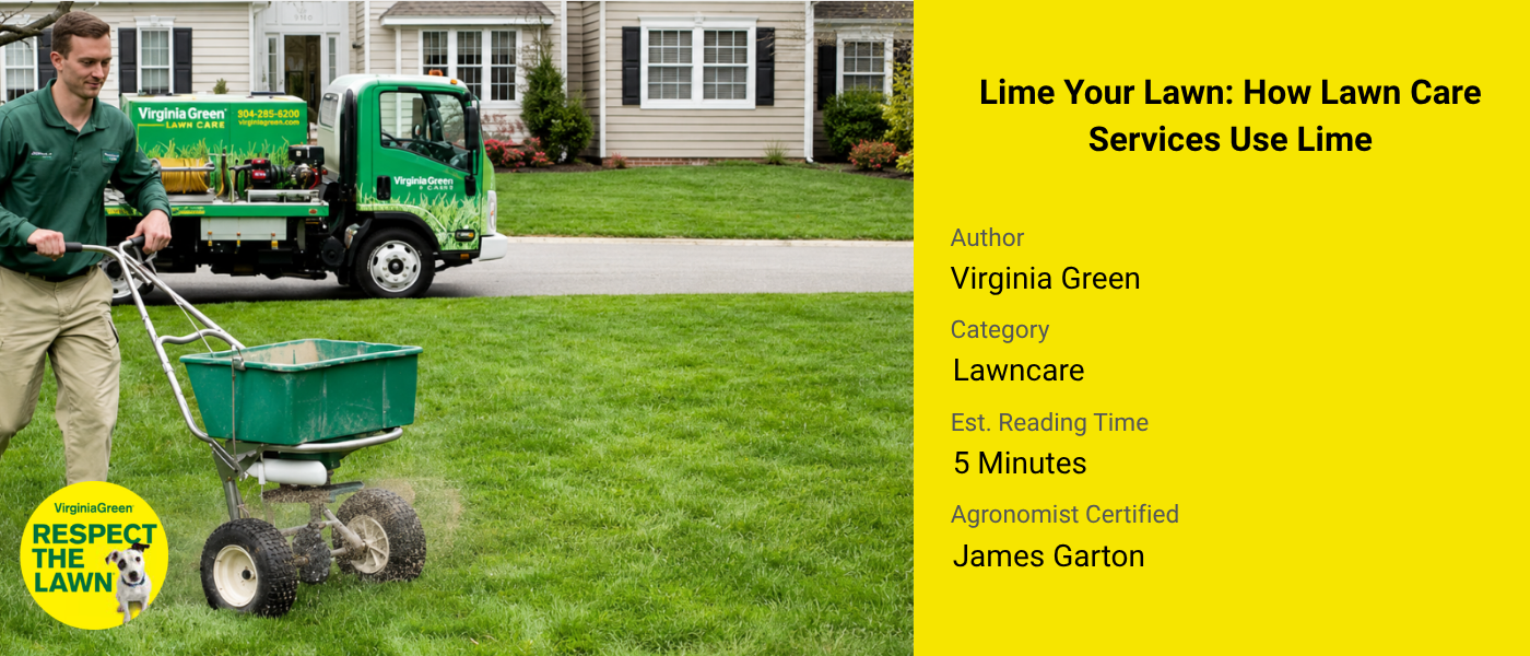 Warm Season Lawns vs Cool Season Lawns