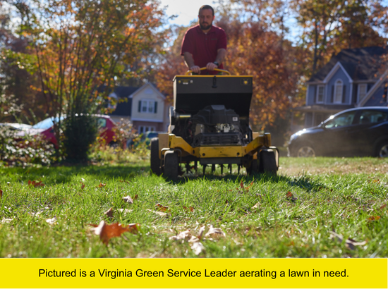 Virginia Green Agronomist