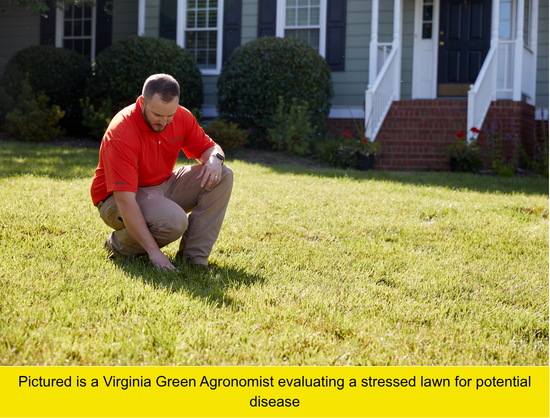 Virginia Green Lawn Care Treatment