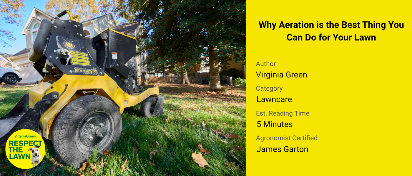 Warm Season Lawns vs Cool Season Lawns
