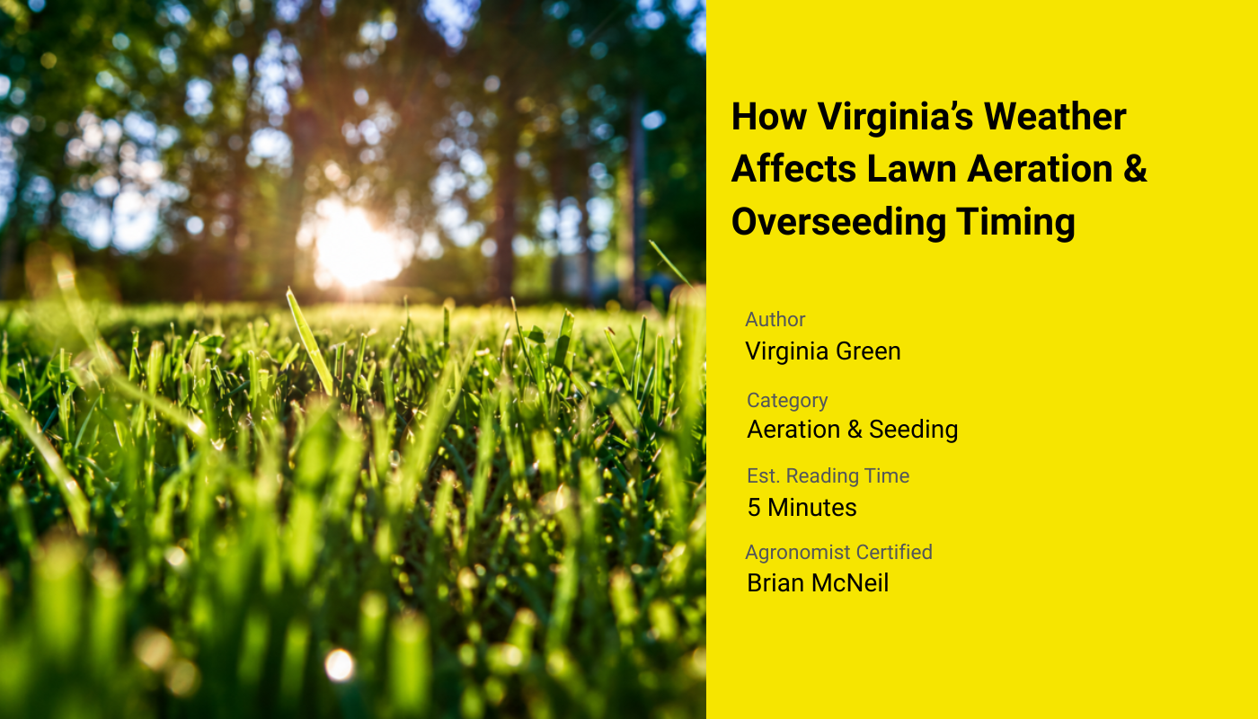 How Virginia's Weather Affects Lawn Aeration Timing