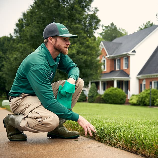Virginia Green technician kneeling to inspect a customer's lawn along the driveway edge
