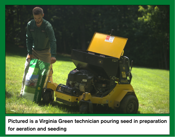 Proper lawn care starts with choosing the right grass type