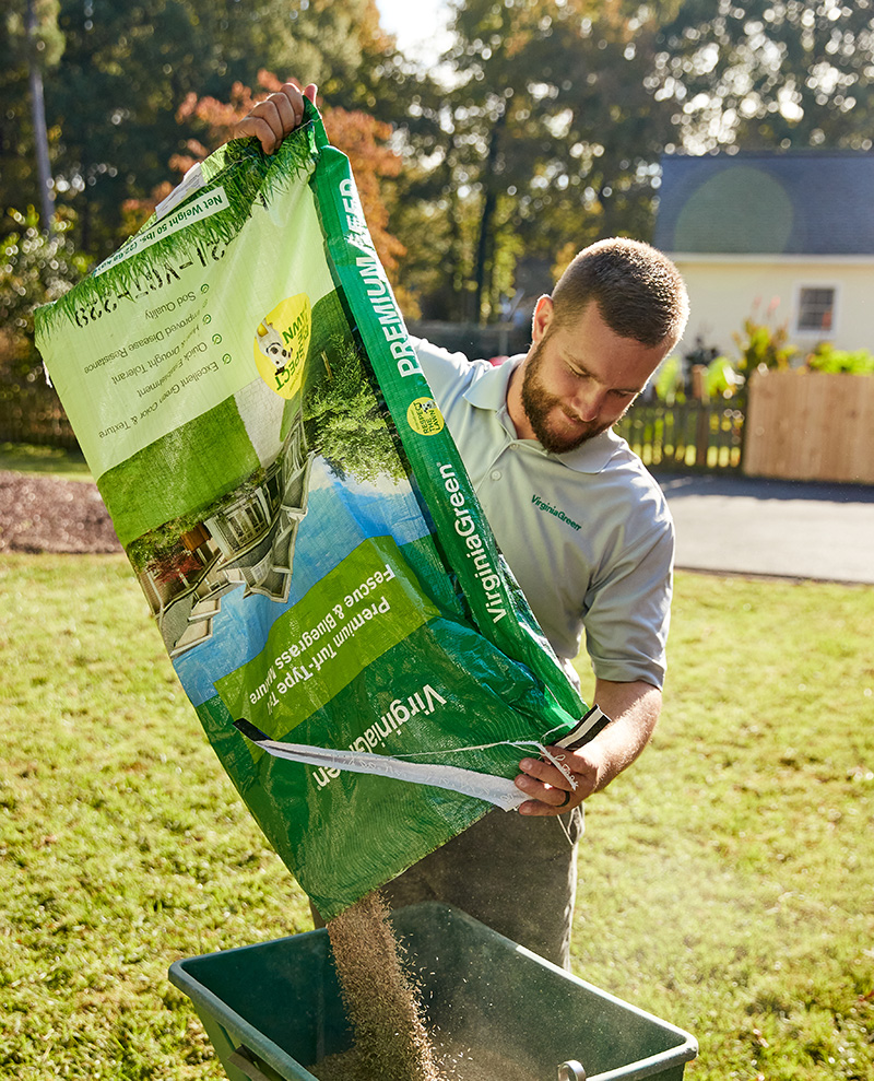 Virginia Green branded grass seed