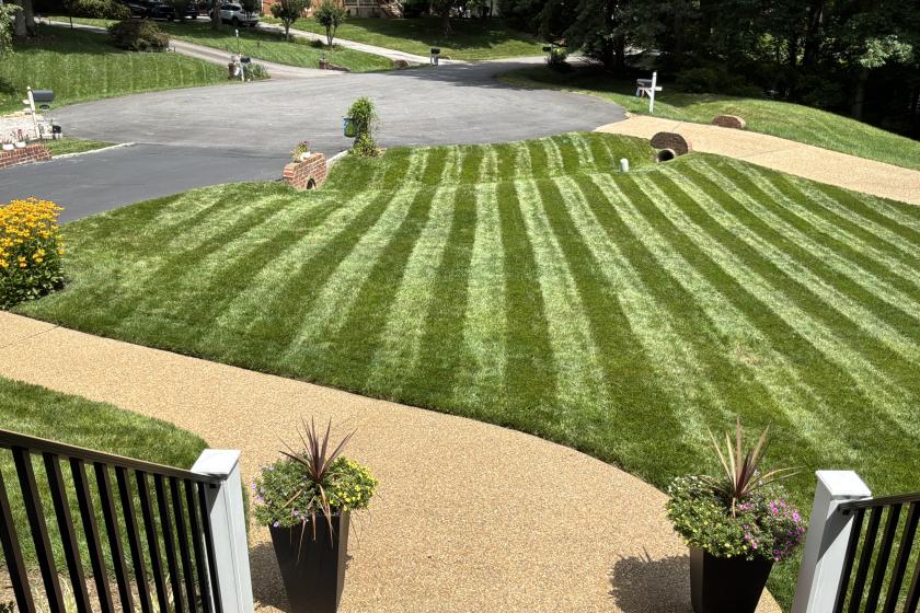 Panella Lawn of the Month - July