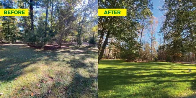 Before and After Yard in the Sun