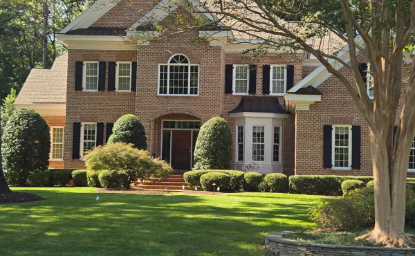 Williamsburg Zilli Lawn