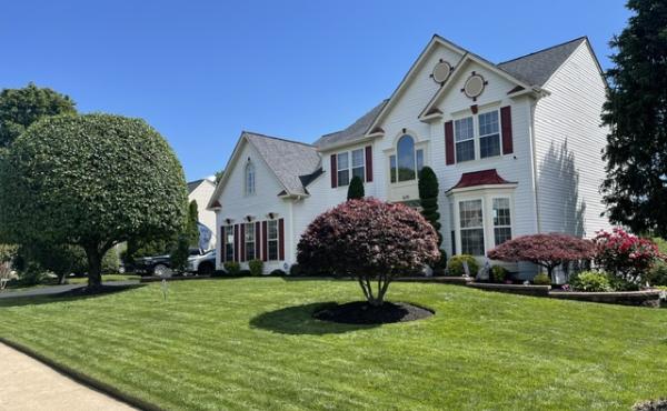 Johnson Family Lawn