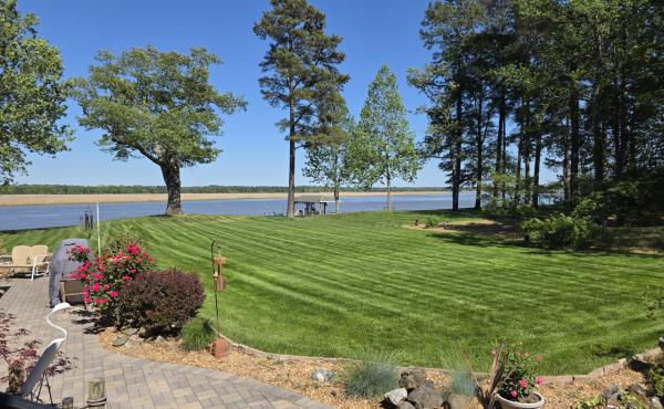 Gould Family Lawn