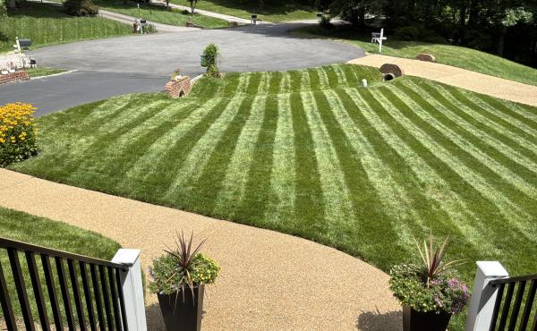 Panella Lawn of the Month - July